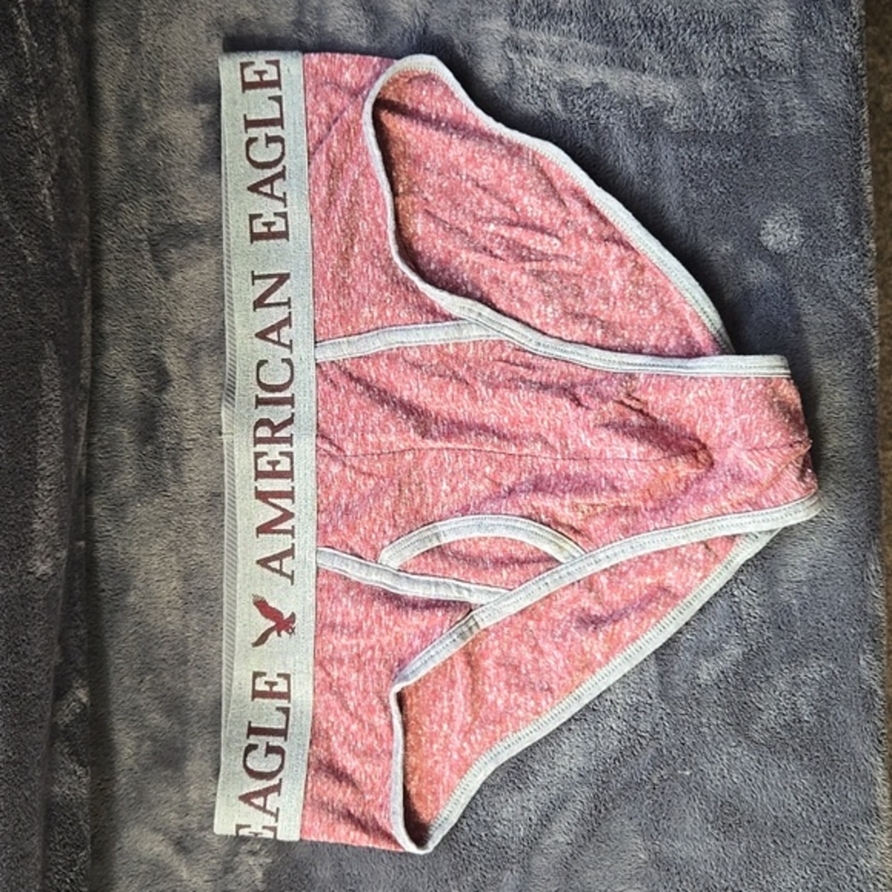 Vintage RARE American Eagle Briefs w/Fly - Red/Gray